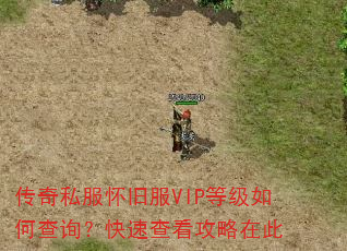 传奇私服怀旧服VIP等级如何查询?快速查看攻略在此 传奇私服怀旧服VIP等级如何查询?快速查看攻略在此