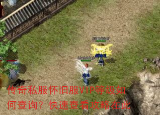 传奇私服怀旧服VIP等级如何查询?快速查看攻略在此 传奇私服怀旧服VIP等级如何查询?快速查看攻略在此