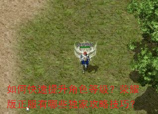 如何快速提升角色等级?荣耀版正服有哪些独家攻略技巧? 如何快速提升角色等级?荣耀版正服有哪些独家攻略技巧?