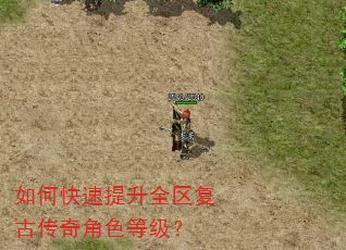 如何快速提升全区复古传奇角色等级? 如何快速提升全区复古传奇角色等级?