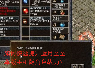 如何快速提升蓝月至至尊版手机版角色战力? 如何快速提升蓝月至至尊版手机版角色战力?