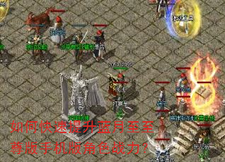 如何快速提升蓝月至至尊版手机版角色战力? 如何快速提升蓝月至至尊版手机版角色战力?