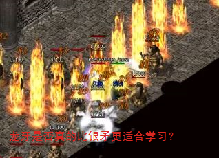 龙牙是否真的比银矛更适合学习? 龙牙是否真的比银矛更适合学习?