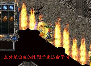 龙牙是否真的比银矛更适合学习? 龙牙是否真的比银矛更适合学习?