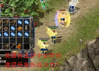 英雄合击SF中如何快速提升角色战斗力? 英雄合击SF中如何快速提升角色战斗力?
