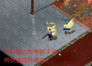 苍剑复古传奇新手如何快速提升等级? 苍剑复古传奇新手如何快速提升等级?