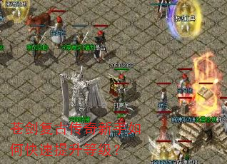苍剑复古传奇新手如何快速提升等级? 苍剑复古传奇新手如何快速提升等级?