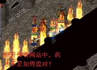 新开传奇网站中,药水不足如何应对? 新开传奇网站中,药水不足如何应对?