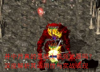 井中月真的是战士最强武器吗?深度解析其适用性与实战表现 井中月真的是战士最强武器吗?深度解析其适用性与实战表现