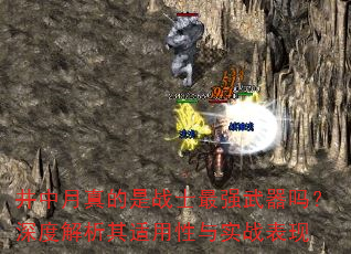井中月真的是战士最强武器吗?深度解析其适用性与实战表现 井中月真的是战士最强武器吗?深度解析其适用性与实战表现