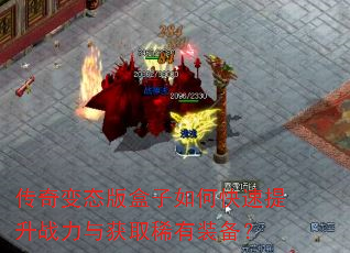 �����̬�������ο�������ս�����ȡϡ��װ����