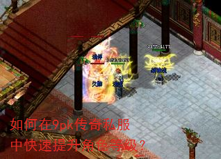 如何在9pk传奇私服中快速提升角色等级? 如何在9pk传奇私服中快速提升角色等级?