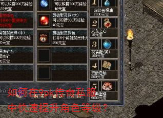 如何在9pk传奇私服中快速提升角色等级? 如何在9pk传奇私服中快速提升角色等级?