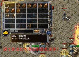 ��ʿְҵ��θ�Чˢ������Ԩ��