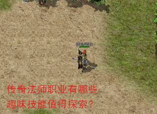 ���淨ʦְҵ����ЩȤζ����ֵ��̽����