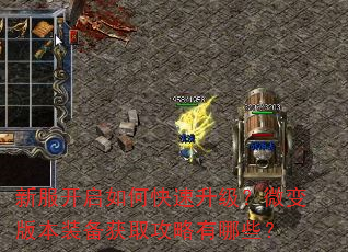 新服开启如何快速升级?微变版本装备获取攻略有哪些? 新服开启如何快速升级?微变版本装备获取攻略有哪些?