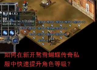 如何在新开鸳鸯蝴蝶传奇私服中快速提升角色等级? 如何在新开鸳鸯蝴蝶传奇私服中快速提升角色等级?
