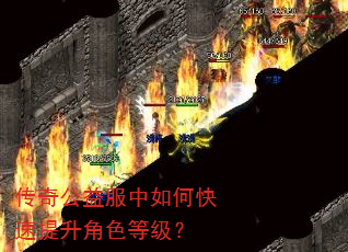 ���湫�������ο���������ɫ�ȼ���