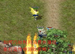 �������������������������촫����Ϸ���ԣ�