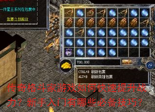传奇格斗家游戏如何快速提升战力?新手入门有哪些必备技巧? 传奇格斗家游戏如何快速提升战力?新手入门有哪些必备技巧?