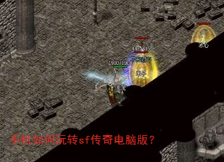 �ֻ������תsf������԰棿