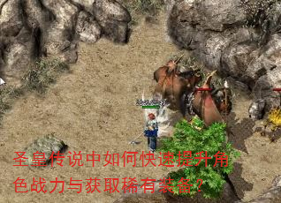 圣皇传说中如何快速提升角色战力与获取稀有装备? 圣皇传说中如何快速提升角色战力与获取稀有装备?