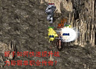 ������ο�������ս���ưԵ�ְҵ���棿