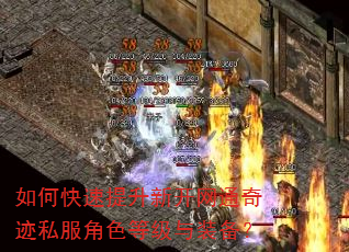 如何快速提升新开网通奇迹私服角色等级与装备? 如何快速提升新开网通奇迹私服角色等级与装备?