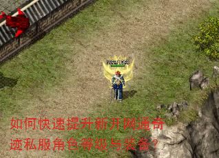 如何快速提升新开网通奇迹私服角色等级与装备? 如何快速提升新开网通奇迹私服角色等级与装备?