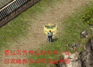 �����紫�����ƴ�ȫ����ݹ��Խ�����γư�ȫ��