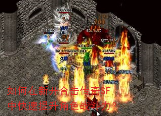 ������¿��ϻ�����SF�п���������ɫս������