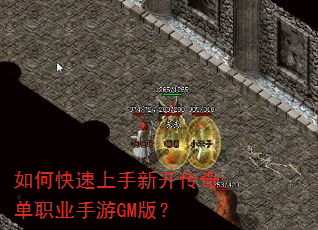 ��ο��������¿����浥ְҵ����GM�棿