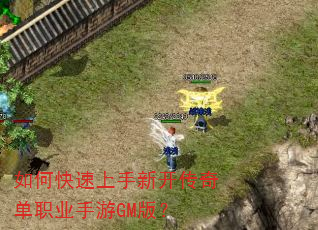 ��ο��������¿����浥ְҵ����GM�棿