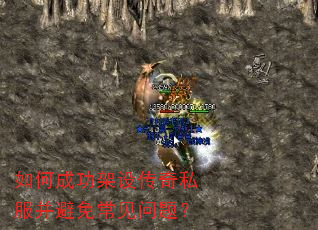 ��γɹ����贫��˽�������ⳣ�����⣿
