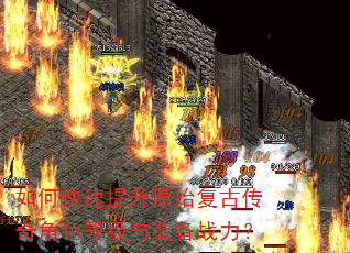 ��ο�������ԭʼ���Ŵ����ɫ�ȼ���װ��ս����