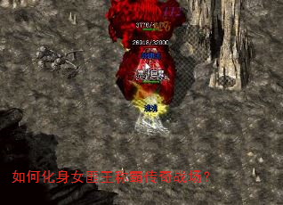 如何化身女匪王称霸传奇战场? 如何化身女匪王称霸传奇战场?