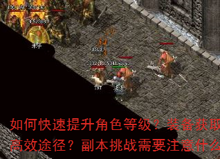 如何快速提升角色等级?装备获取有哪些高效途径?副本挑战需要注意什么技巧? 如何快速提升角色等级?装备获取有哪些高效途径?副本挑战需要注意什么技巧?
