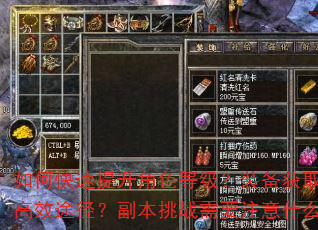 如何快速提升角色等级?装备获取有哪些高效途径?副本挑战需要注意什么技巧? 如何快速提升角色等级?装备获取有哪些高效途径?副本挑战需要注意什么技巧?