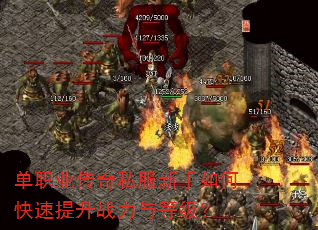 单职业传奇私服新手如何快速提升战力与等级? 单职业传奇私服新手如何快速提升战力与等级?