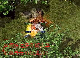 如何快速提升新出单职业传奇角色战力? 如何快速提升新出单职业传奇角色战力?