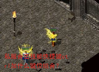 私服合击技能快捷键ctrl加什么键位组合? 私服合击技能快捷键ctrl加什么键位组合?