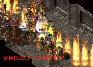 如何快速提升内功连击等级? 如何快速提升内功连击等级?